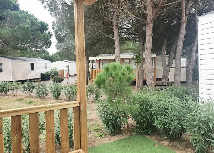 Luxury Eden 45M2 Baby Confort