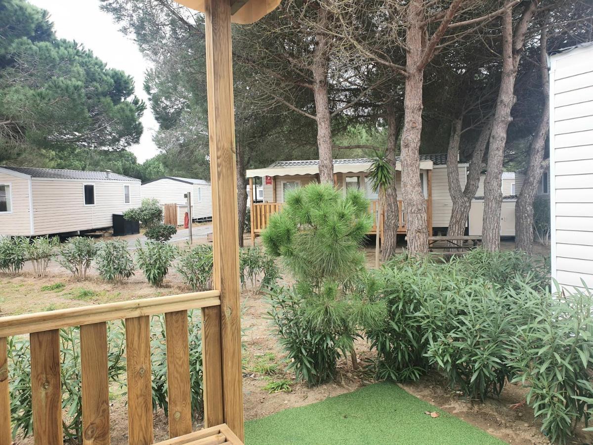 Luxury Eden 45m2 Baby Confort Canet-en-Roussillon
